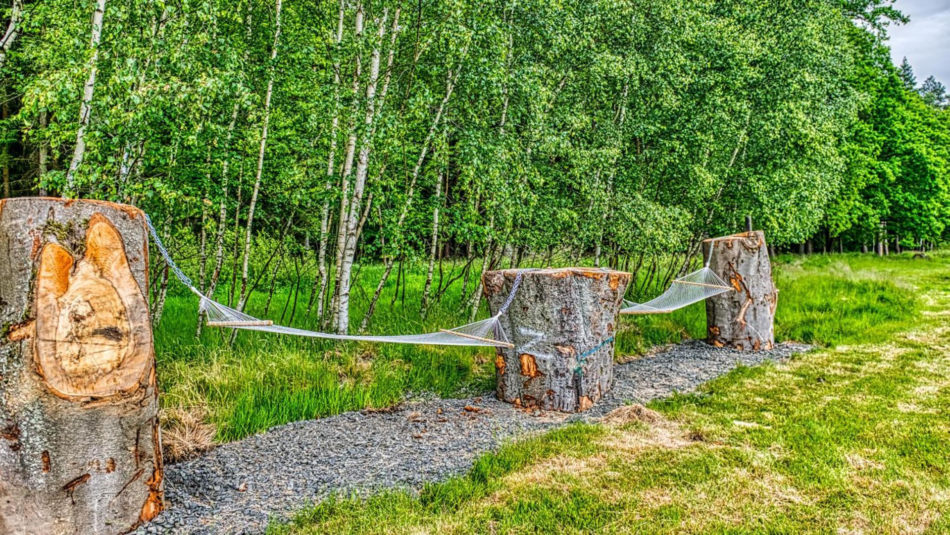 Izerska Baza - Basen, Ebike, Narty, Sauna, Jacuzzi, Las Blisko Swieradow Zdroj - 5D Apartamenty Giebultow  Esterno foto